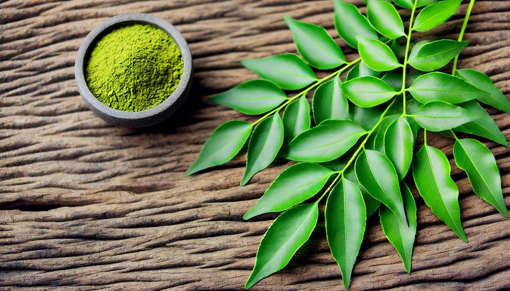 Exploring the Wonders of Curry Leaf: A Flavorful and Healthy Addition to Your Kitchen