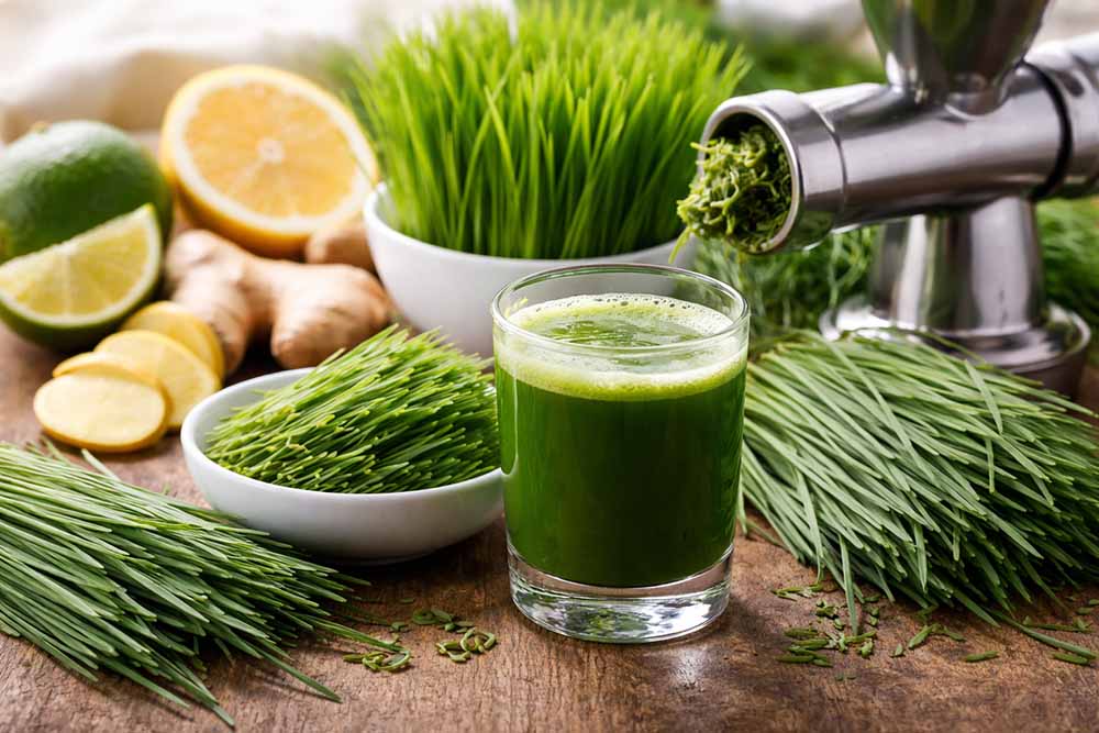 Wheatgrass: The Bright Green Boost Alphas Produce Customers Love