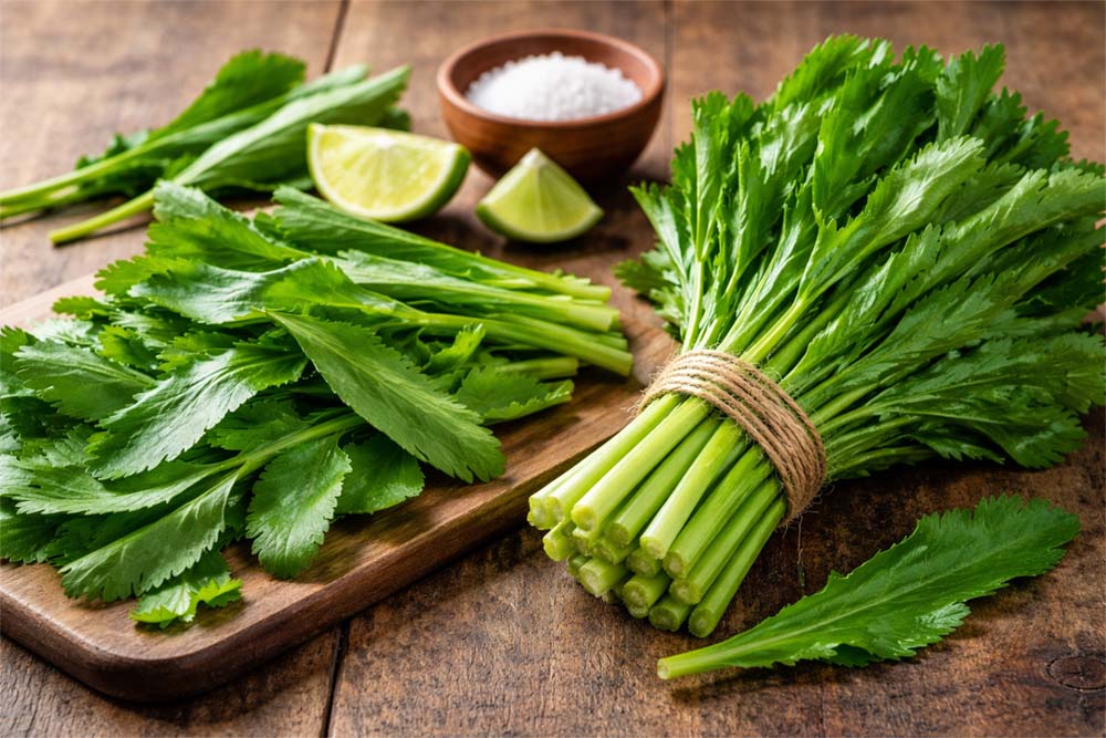 Image showing Culantro: Bold Flavor with Deep Roots.