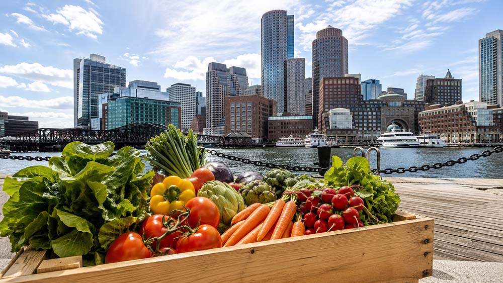 Boston Produce: Fresh, Reliable Produce Delivery for Restaurants, Schools, Healthcare Facilities & Businesses